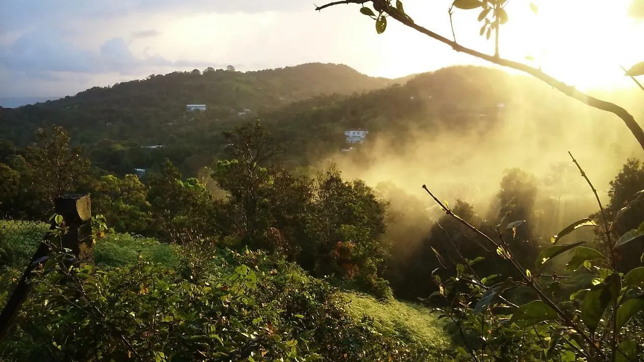 Hacienda Mirador Ostello Luquillo Porto Rico