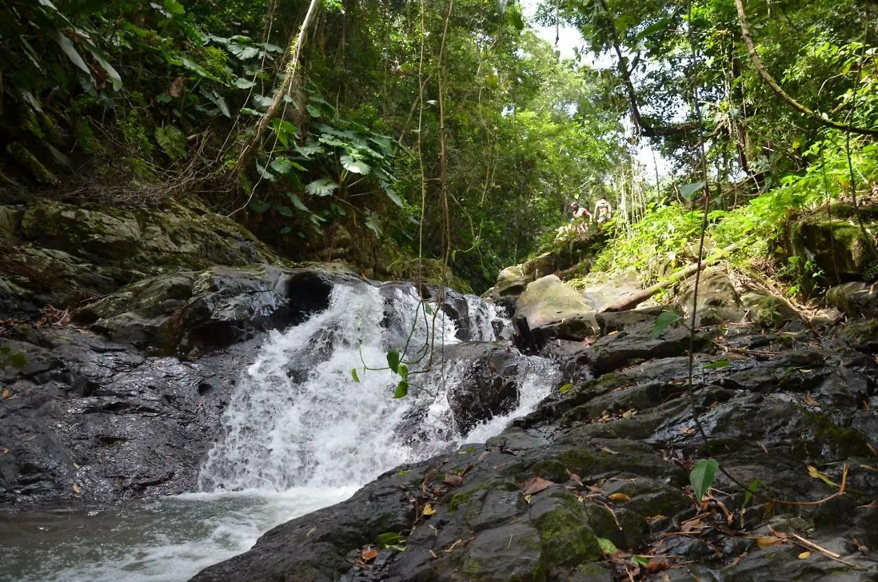 Hacienda Mirador Ostello Luquillo