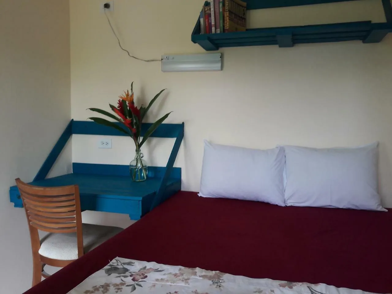 Hacienda Mirador Hostel Luquillo